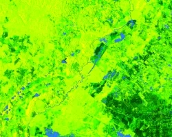 An NDWI waterbody mask derived from Landsat-8 OLI cloud-masked imagery from March-May 2019-2021 is shown in blue at 10-meter resolution over Mexico, Belize, and Guatemala. The ALOS-PALSAR-2 fine-beam L-band false color composite includes Refined Lee speckle filtered HV, HH, HH/HV bands. Darker and brighter green hues represent to low and high backscatter, respectively. Differentiating between open water, like the Hondo River, from vegetated inundation is important when distinguishing inundation by land cove