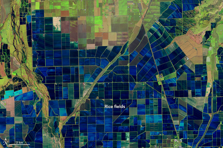 blue satellite image of fields