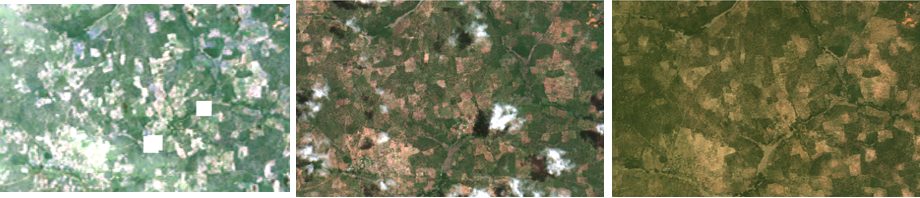 three satellite images of farmland in Mali