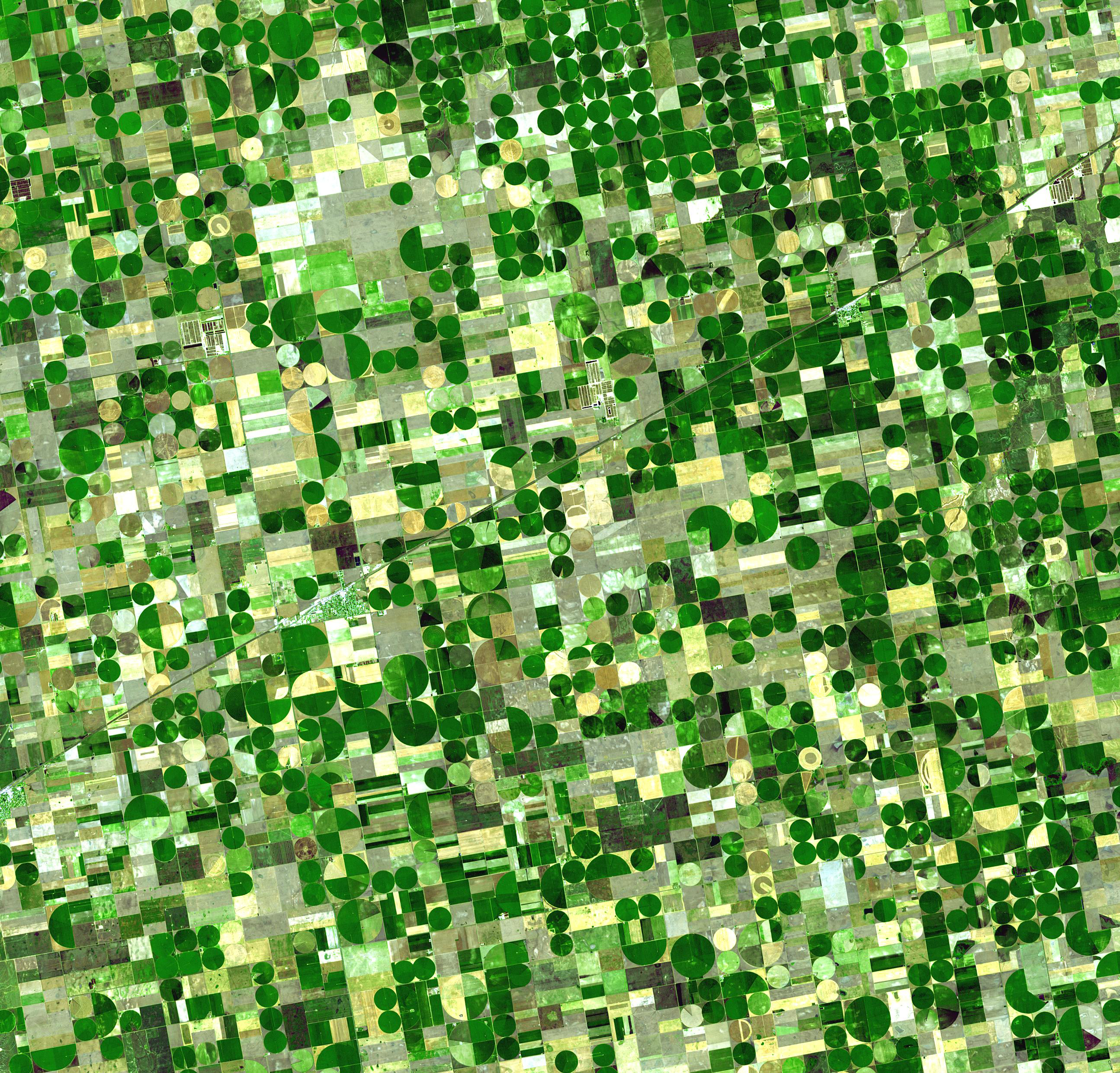 satellite view of farmland plots in shades of green