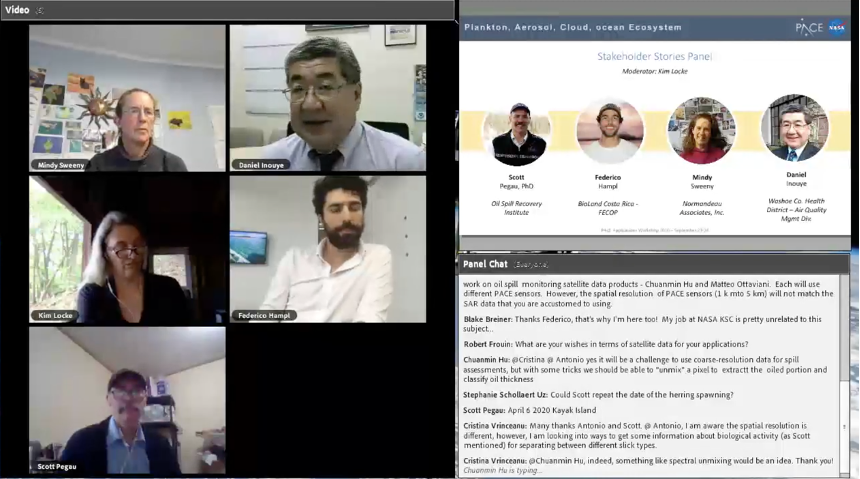 screenshot of panel in virtual meeting