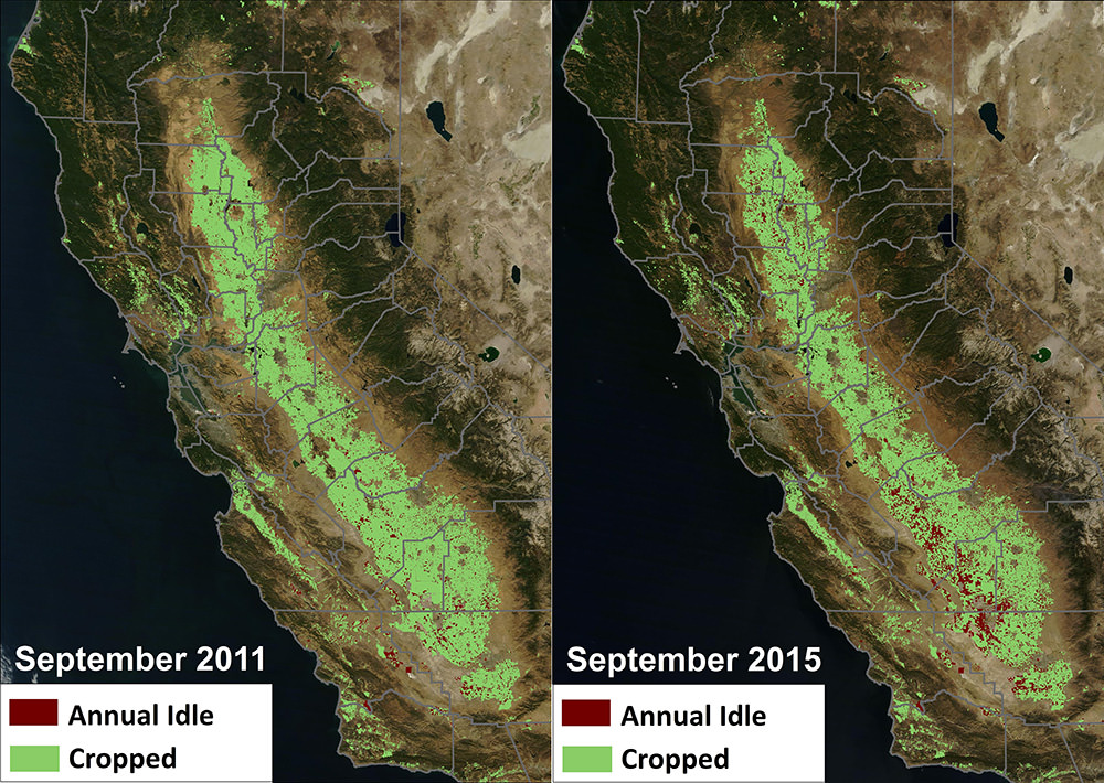 A comparison of idle farm fields in California’s Central Valley; 2011 v. 2015.