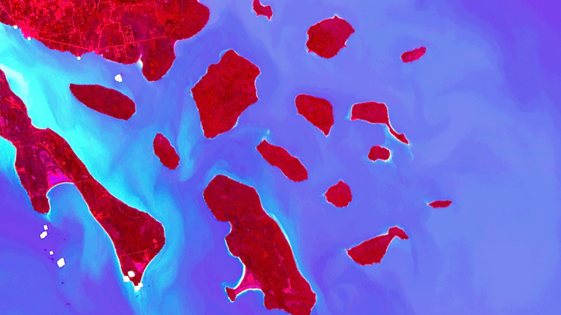 A Tassled-Cap Transformation was applied to a Landsat-8 OLI satellite image of the Apostle Island National Lakeshore from August 13, 2018, in western Lake Superior. In the above image, a red color gun was applied to the ‘Greeness’ band to highlight chlorophyll within surface water, represented as cyan in the image. Applying the blue and green color guns to the ‘Wetness’ band distinguishes land and non-photosynthetic lake water, characterizing land as red and non-photosynthetic water as purple.  Keywords: Apostle Islands, Lake Superior
