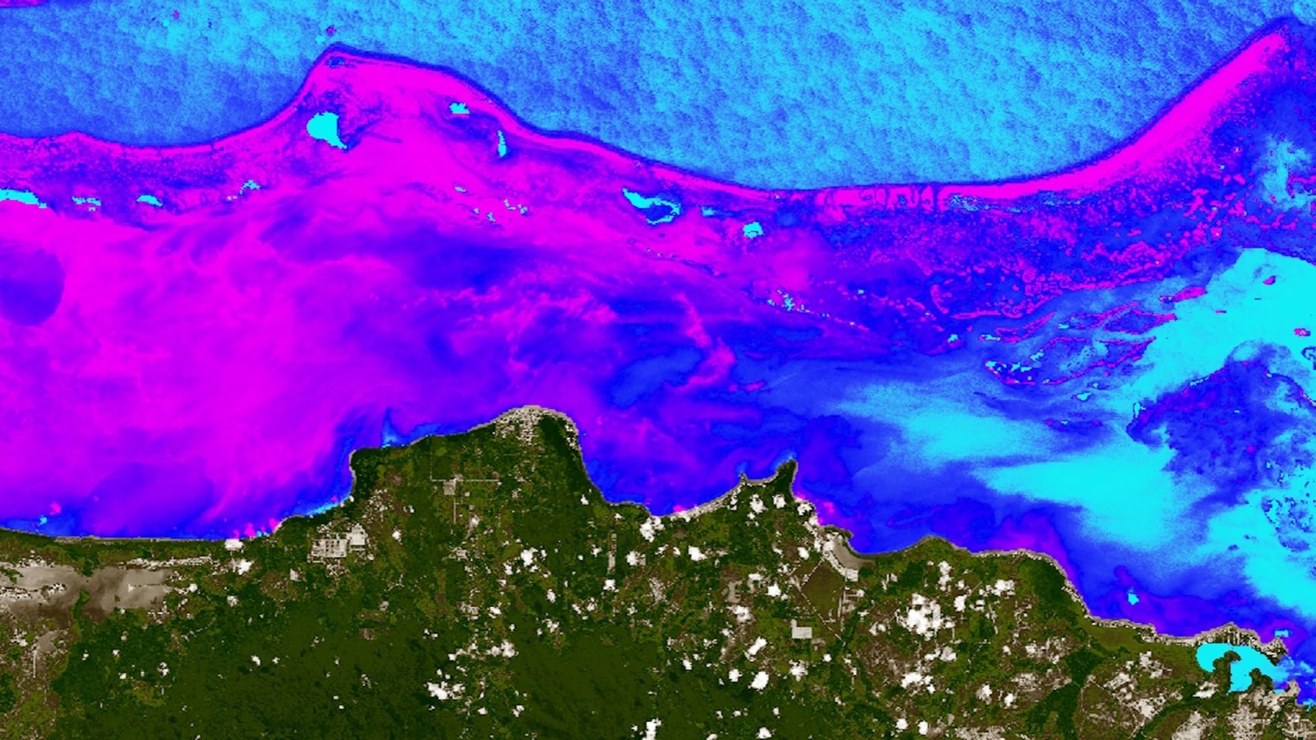 Turbidity derived from a January 28, 2019, Landsat 8 OLI image. The coastal region of Belize, including the Belize Barrier Reef, is displayed. Pink areas highlight high levels of turbidity. Very turbid waters may have consequences on the health of coral reefs, which require clear water in order to photosynthesize efficiently. These data may increase partners' understanding of spatiotemporal patterns of coastal water quality and will improve their capacity for allocating resources for coral reef monitoring and restoration.