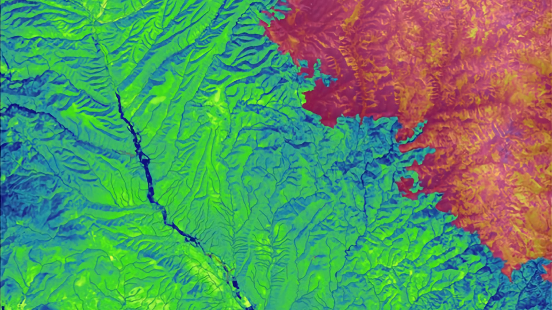 (1) Change in vegetation regrowth post-Silver Fire (2013) in Gila National Forest Watershed from 2013-2019 using NBR, calculated from Landsat-8 OLI imagery. Fire area delineated with warm-color scale, yellow and pink represent high and low vegetation regrowth respectively.  (2) NDWI calculated from 2019 Landsat-8 OLI image, emphasizing stream visualization underneath stream vector where dark blue represents high water content. This helps forest managers understand vegetation recovery and how burned areas interact with hydrology of the watershed.  Keywords: Gila National Forest, wildfire, watershed, hydrology, vegetation recovery, NBR, Landsat