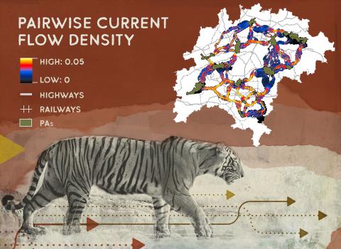 Image of Pairwise Current Flow Density map