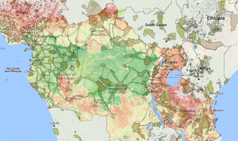 GRASP-REDD + Mapping Project Image of Central Africa