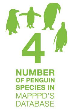 4, number of penguin species in MAPPD's database