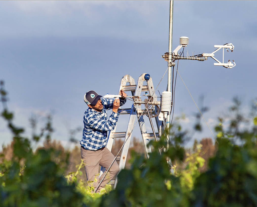 man on ladder adjusting scientific instrument over vineyard