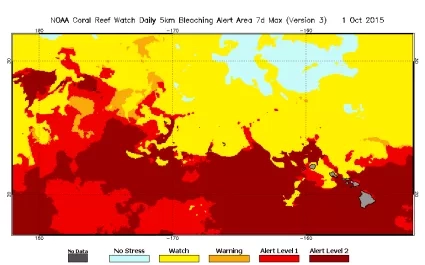 This map shows what areas of coral are most at risk of bleaching. 
