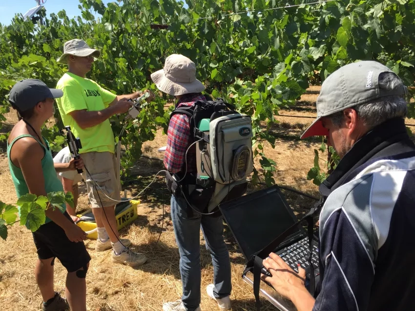 Photo of the GRAPEX team members in a vineyard taking scientific measurements