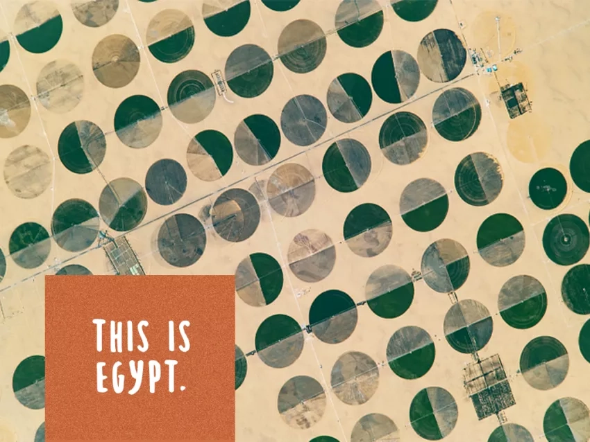 Satellite image of crop circles in Egypt with text "This is Egypt" on it