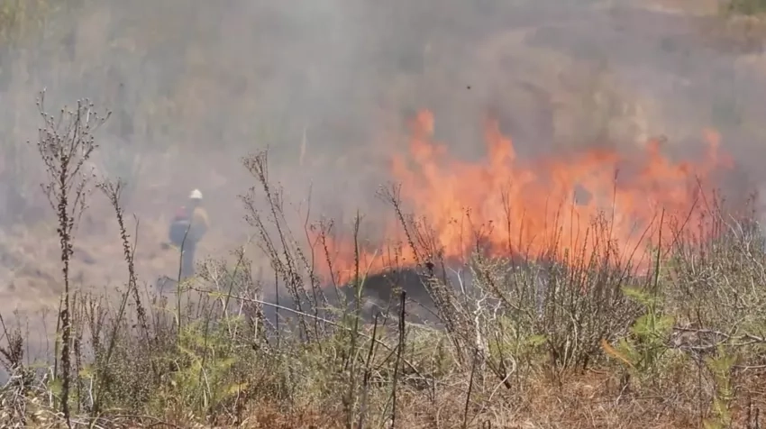 photo of fire and grasses with person in background
