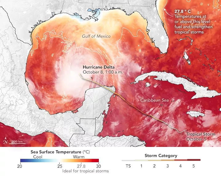 This map shows the track of Hurricane Delta between October 5 and October 8 overlaid on a map of sea surface temperatures (SSTs) in the Gulf of Mexico as measured on October 6, 2020. The SST data comes from the Multiscale Ultrahigh Resolution Sea Surface Temperature (MUR SST) project, based at NASA’s Jet Propulsion Laboratory. MUR SST blends measurements of sea surface temperatures from multiple NASA, NOAA, and international satellites, as well as ship and buoy observations. The brightness temperature image