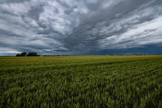 picture of field under small storm clouds