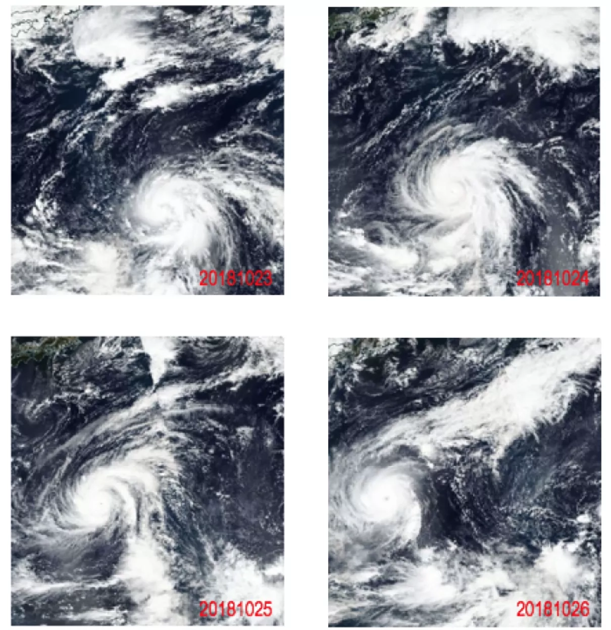 Image of remote sensing observations of Typhoon Yutu from VIIRS