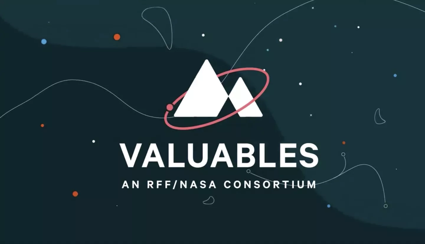 Screenshot of VALUABLES logo