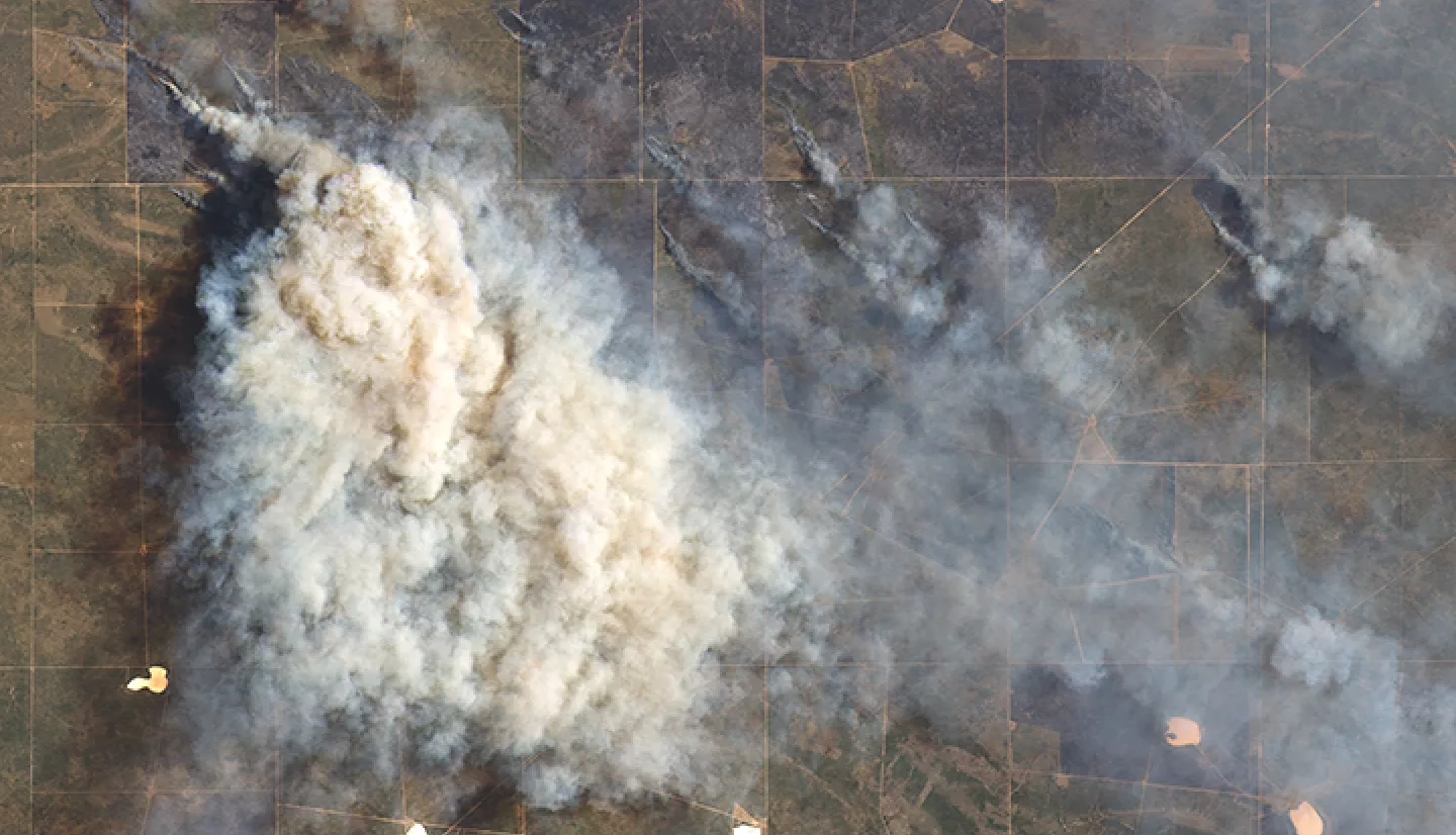 The Operational Land Imager (OLI) on the Landsat 8 satellite captured this natural-color image of a smoke plume south of Río Colorado on December 29, 2016.