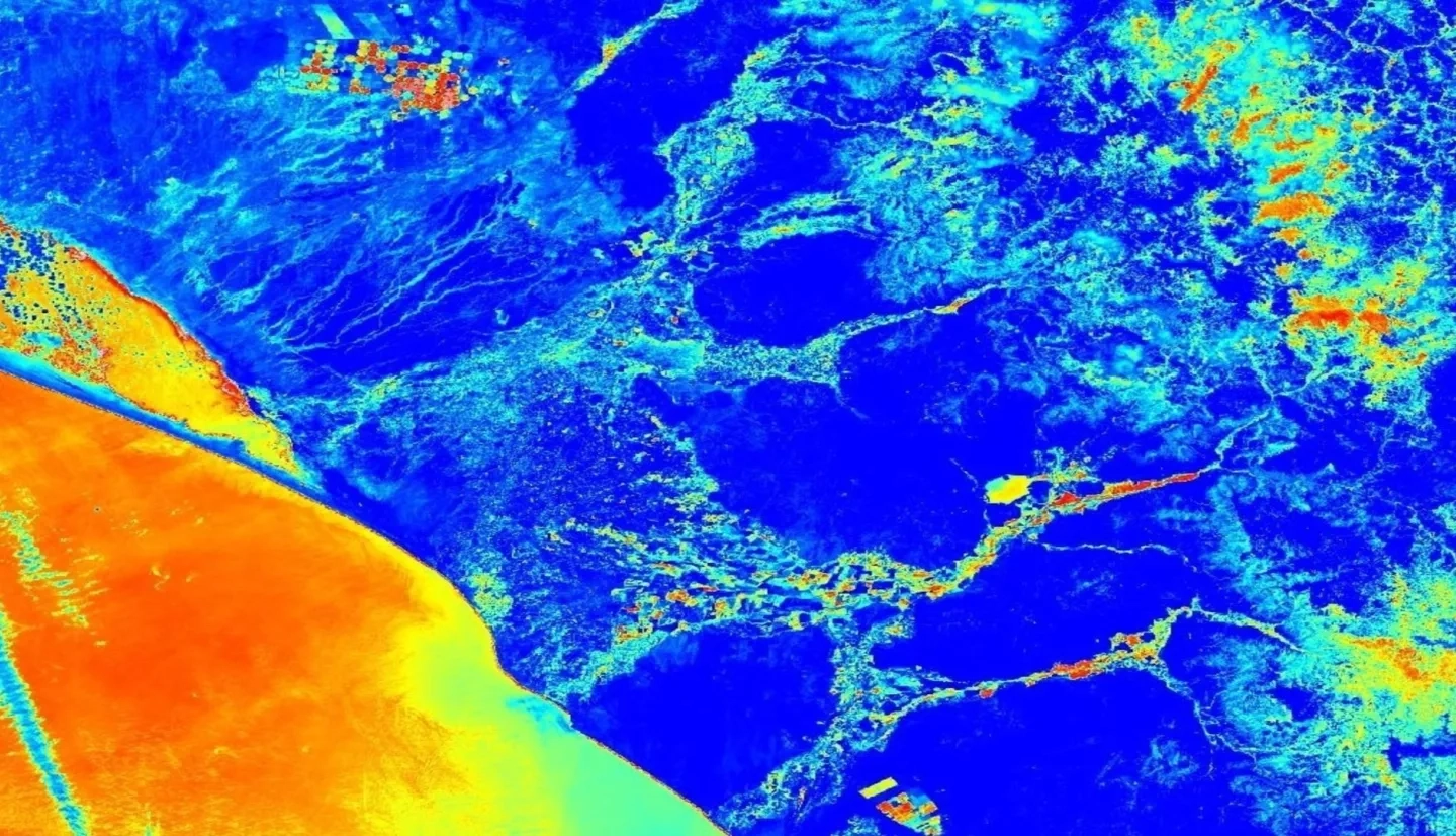 The Landsat 8 satellite and the Operational Land Imager sensor. The image displays the Normalized Difference Water Index, demonstrating water stress on vegetation. The area shows Northwestern Peru and the Pacific Ocean. The data was obtained through Google Earth Engine and processed manipulating the sensitivity, and classifying by color. The scale ranges from blue - red. Dark Blue areas maintain higher water stress levels and areas with a red  hue represent a lower water stress level.  Keywords: Rivers, Agriculture, Lambayeque, Chiclayo, Mesquite Algarrobo