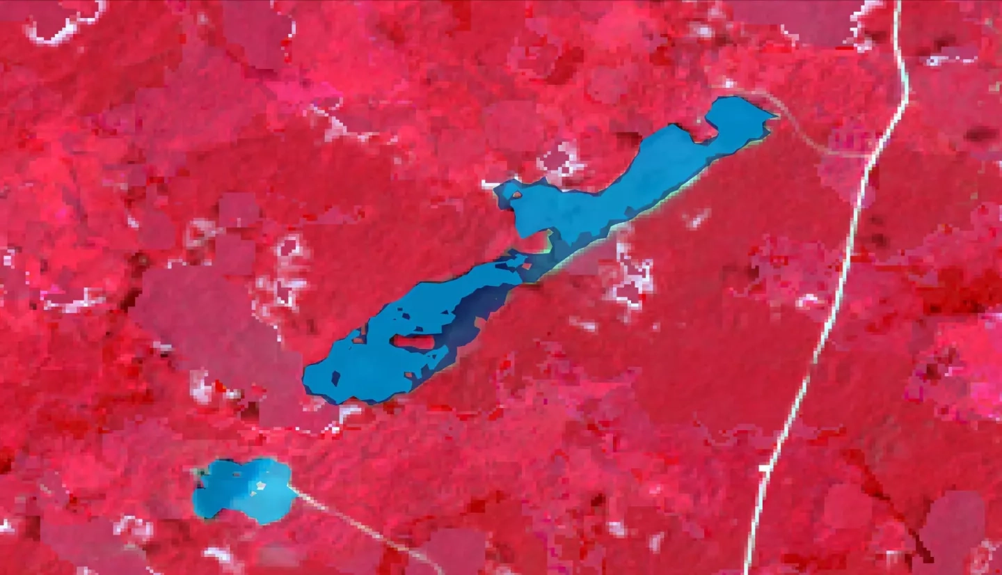 Composited Landsat 8 imagery from March - May 2020 with a false color band combination (5, 4, 3). Dark red represents dense vegetation while light red represents less dense vegetation. Open water masks were applied to ALOS-PALSAR-1 images to delineate the water body extent of Laguna Seca in Belize between June 2008 (light blue) and after Tropical Depression 16 in October 2008 (dark blue). Environmental departments can make informed management decisions by monitoring flood-prone areas.  Keywords: Kat Tafoya, ALOS PALSAR 1, Landsat 7, seasonal inundation, forest canopy, wetlands, L-band SAR