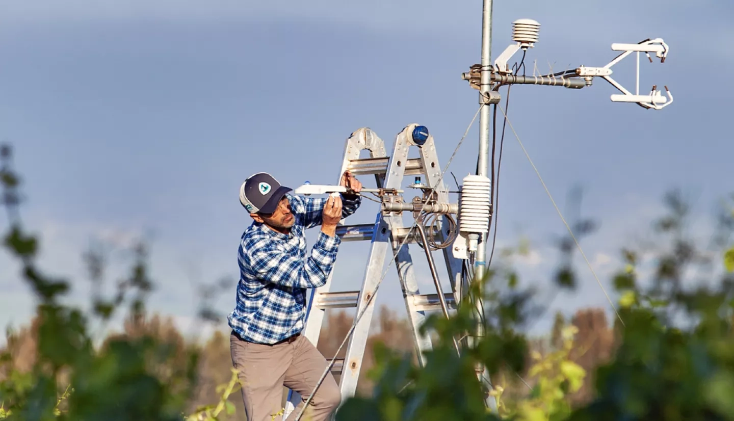 man on ladder adjusting scientific instrument over vineyard