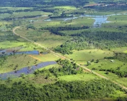 Deforestation and land use change has greatly impacted the Amazon rainforest.  This image shows a road cutting through what was once tropical forest.