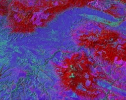 Vegetation productivity decline calculated from the yearly maximum NDVI for 1986–2021, derived from Landsat 5/7/8 data, and overlaid on a 2021 Landcover Change Monitoring System composite, constructed from Landsat 8 OLI. Blue, purple, and pink represent grasses & forbs, shrubs, and trees respectively. Red over pink likely indicates beetle and drought disturbance. Data can be used to inform management and prepare public land for ecological change in the Grand Valley region of Colorado.