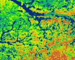 We created an averaged seasonal Evaporative Stress Index (ESI) composite for fall 2020 in the west Tennessee region utilizing NASA’s ECOSTRESS sensor onboard the International Space Station. The ESI reveals areas where vegetation is stressed due to lack of water. Dark blue regions represent areas where vegetation is thriving, compared to the yellow areas, where vegetation is experiencing some water stress.​​