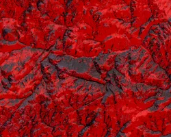 Canopy cover in the greater Ben Delatour Scout Ranch region from a 2013 NAIP Image with a slope and aspect layer derived from a 10-meter digital elevation model (DEM). This image illustrates how elevation-derived variables are used to inform classification models to map canopy cover. Canopy is displayed as red, and the map illustrates that there are higher concentrations of canopy on northern aspects- illustrating the nature of tree density in our study region. ​
