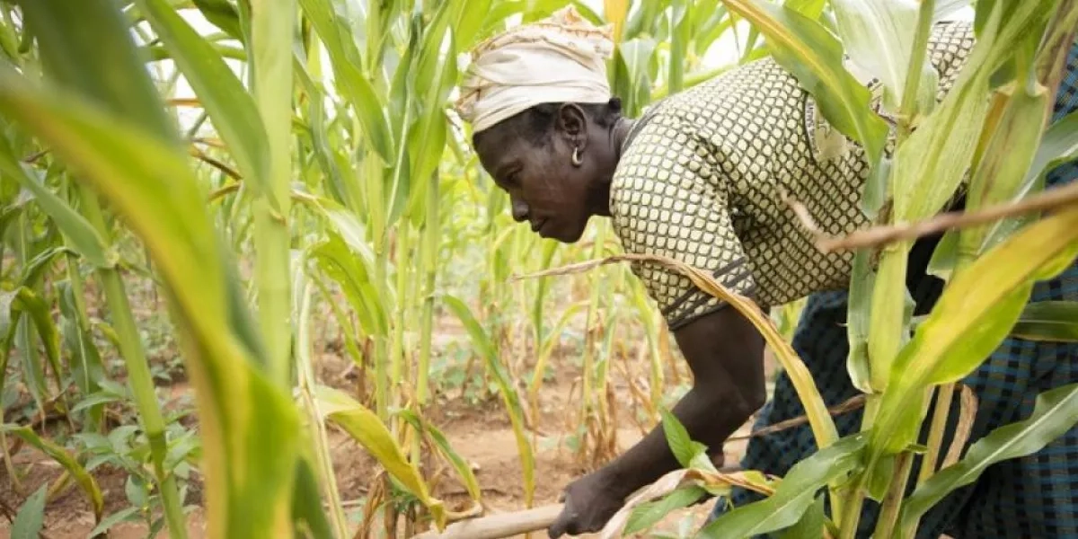 Nasa Commemorates World Food Day 