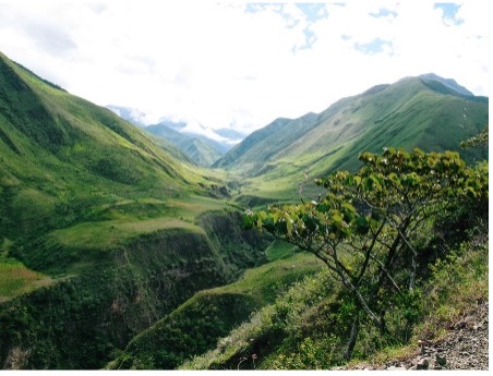 Ecuador Landscape