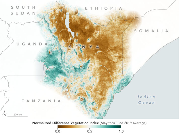 Satellite map of vegetation in Kenya