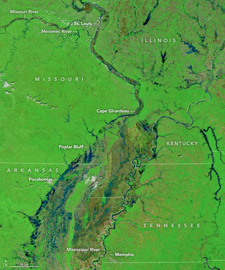 A false-color image of flooding along several tributaries of the Mississippi River