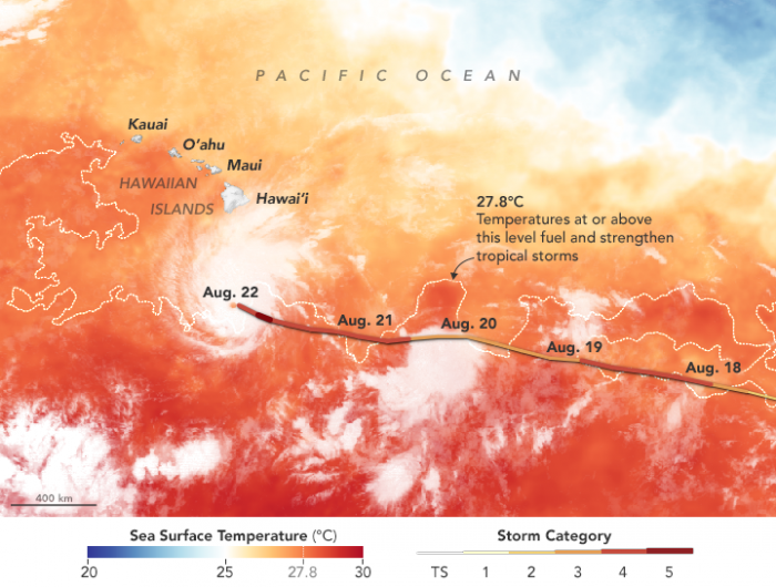 Graphic of sea surface temperatures in the tropical Pacific Ocean
