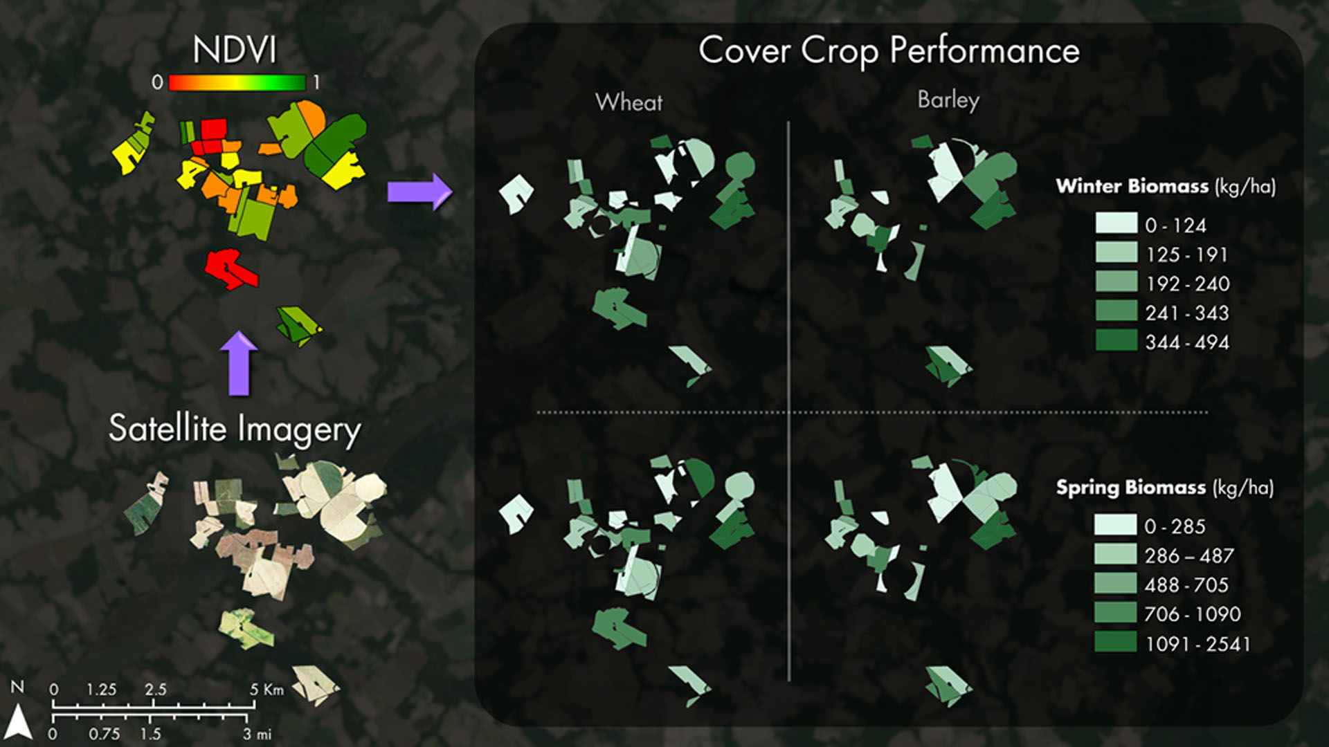 Using NASA Earth Observations to Map Winter Cover Crop Conservation Performance in the Chesapeake Bay Watershed