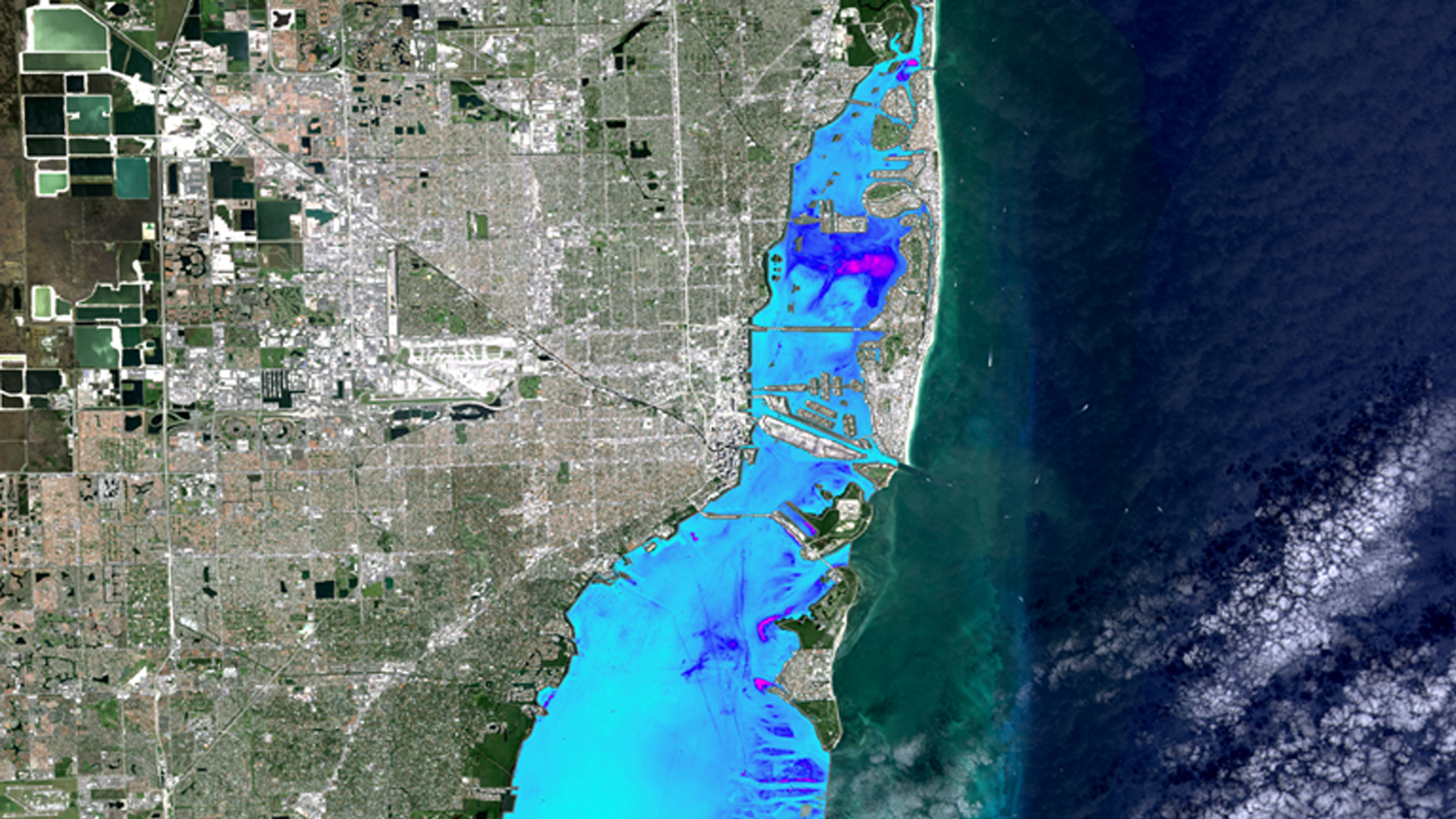 Assessing the Feasibility of Using NASA Earth Observations to Monitor Trends in Runoff and Storm Water Discharge of the Biscayne Bay