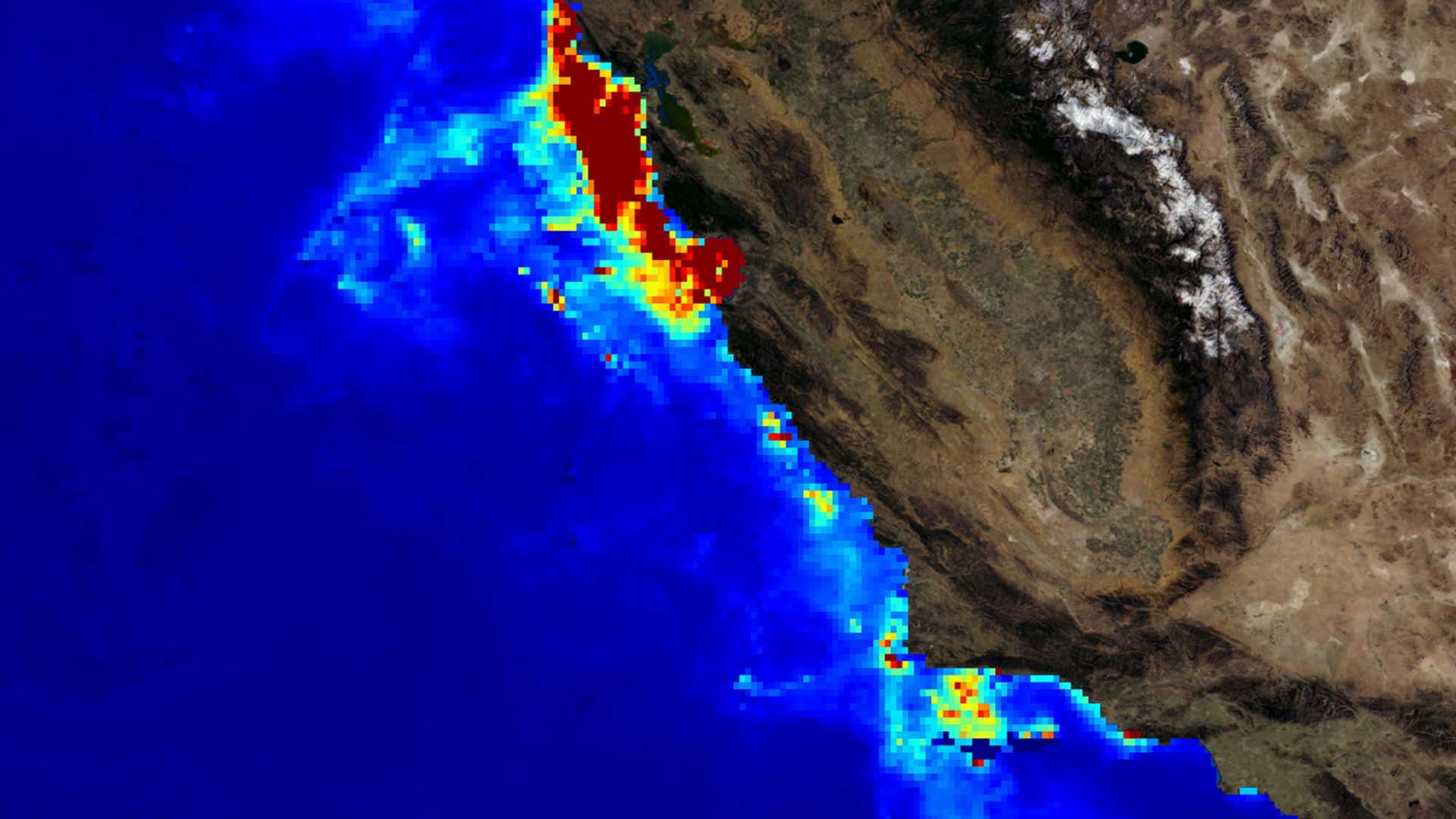 Predicting Grunion Migration Patterns and Spawning Areas in Response to Changes in California's Oceans