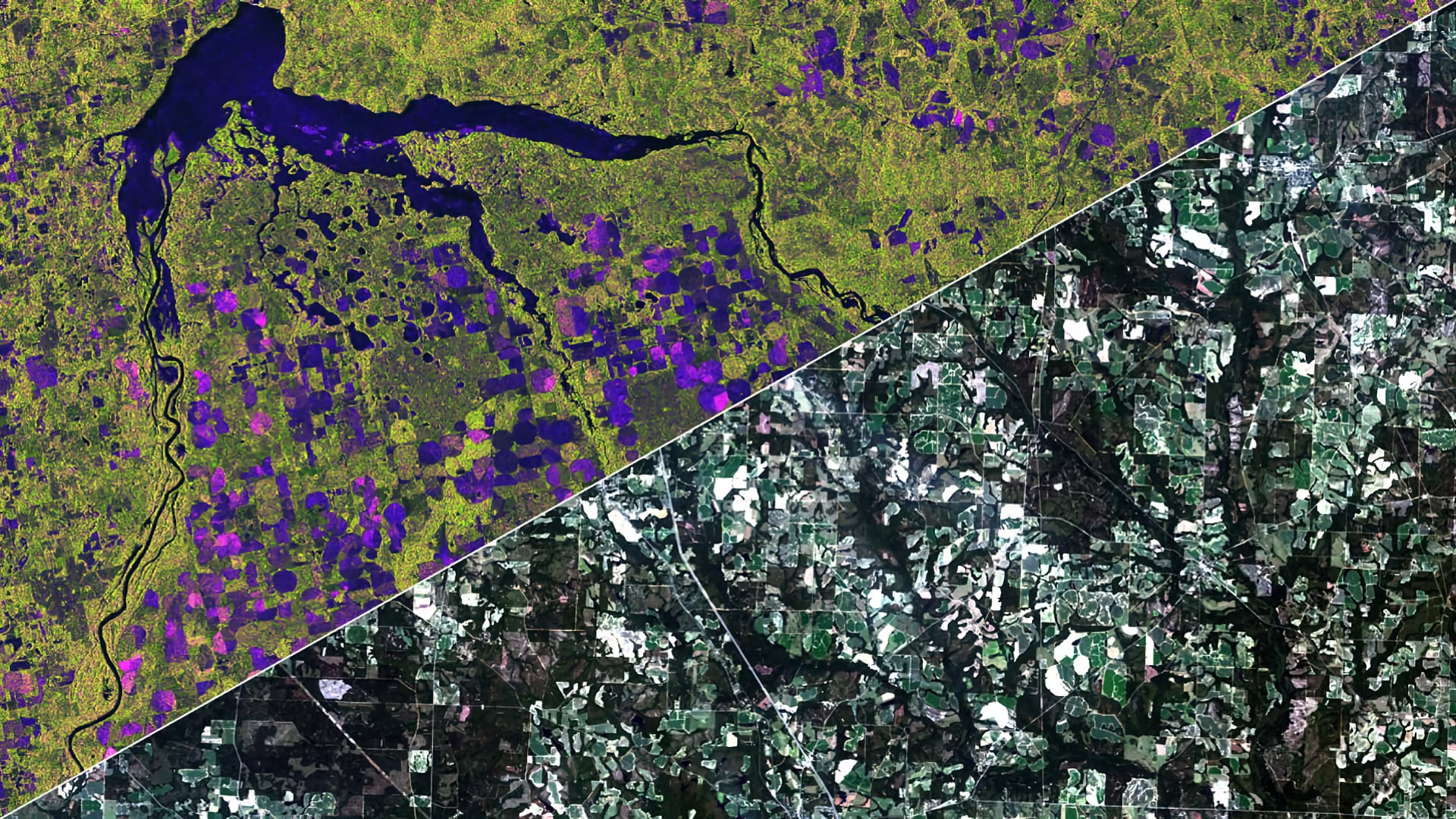 Using NASA Earth Observations and Synthetic Aperture Radar to Enhance Crop Classification Accuracy from Ground Surveys to Larger Scales in the Long Term Agroecosystem Research Network