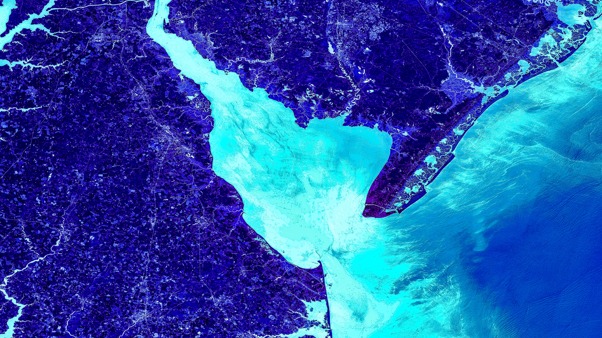 This NDWI-processed image from Landsat 8 OLI imagery (2019) covers the state of Delaware, including the Delaware Bay and Atlantic coastline. Typically with a color ramp like this, light blue would highlight liquid areas and dark blue would indicate land. In this case, however, the color noise as been reduced for aesthetic purposes, and these colors no longer distinguish between land and water.  Keywords: NDWI, Delaware, Coastline