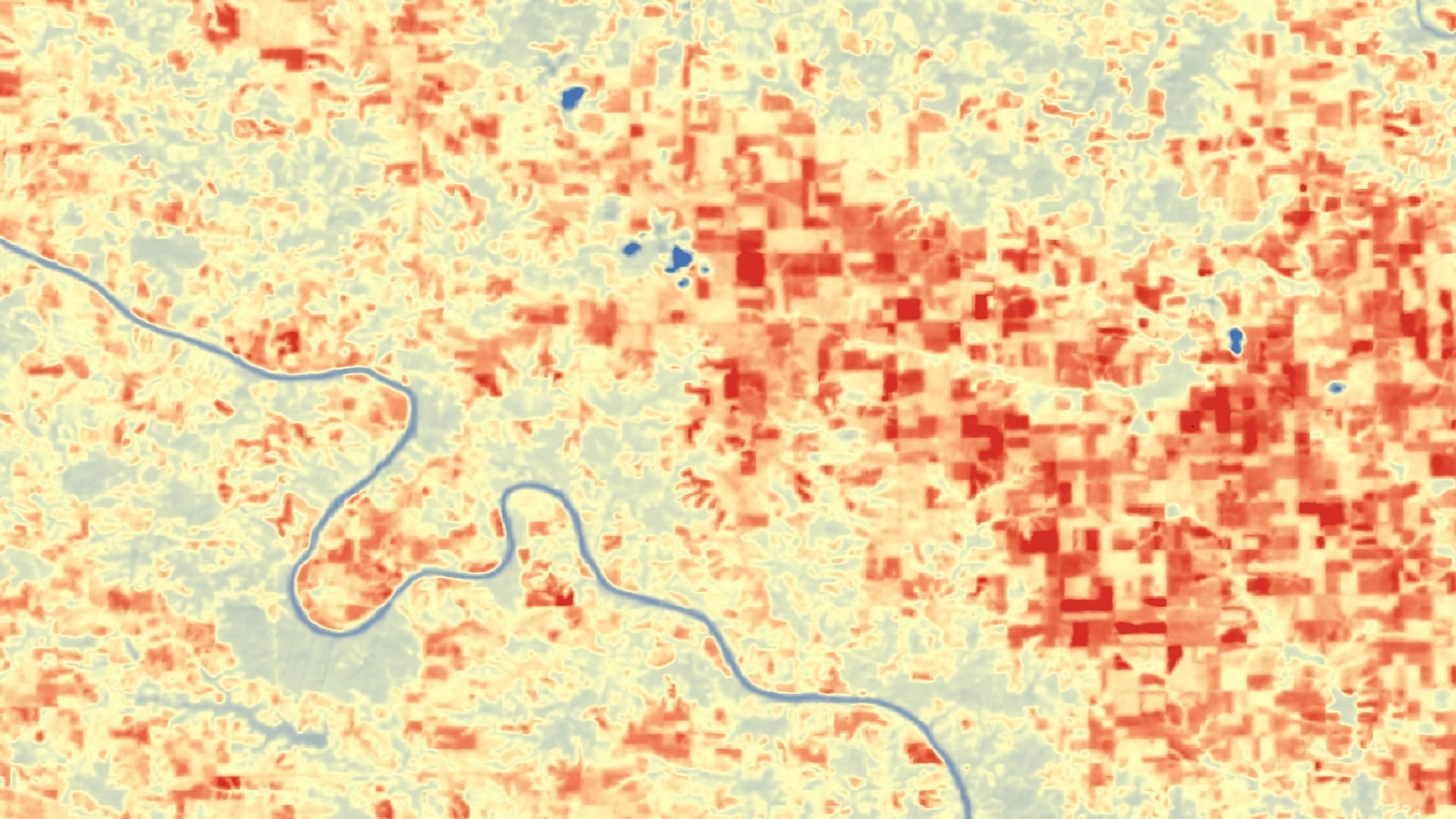 Land surface temperature (LST) derived from September 2018 Landsat 8 TIRS data, processed with bands 4,5, and 10. This image was taken over southeastern Iowa around the Des Moines River. The darkest red values indicate higher temperatures around 40˚C while the darkest blue values indicate the lower temperatures around 24 ˚C. Higher temperatures indicate greater amounts of plant stress.