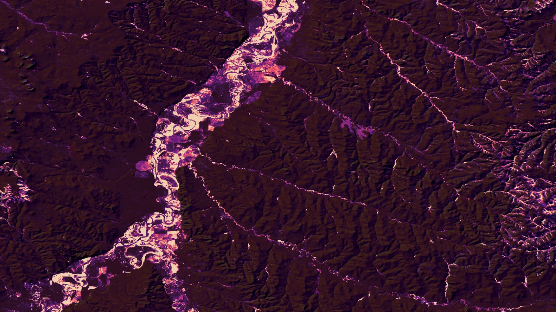 A Russian olive (RO) detection map created using 2020 Sentinel-2 MSI and 2020 Landsat 8 OLI imagery overlayed by a hillshade layer created by the Team from a series of USDA NRCS DEMs. The central portion of the Powder River is displayed. Yellow-white (purple-black) colors indicate RO presence (absence) in percent. There is no threshold on the results displayed; therefore, it is not an accurate representation of the results of our RO detection model.  Keywords: random forest model, russian olive, sentinel, landsat, shahin, courtney, tian, andrews, buczek