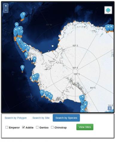 MAPPPD image of Adelie Penguin Colonies