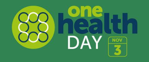 Image of One Health Day logo, with the date November 3
