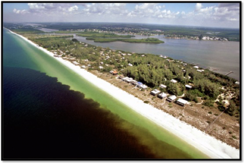 Red tide in Florida encroaches on the coast, threatening beachgoers and coastal workers. Credit: Paul Schmidt, Charlotte Sun