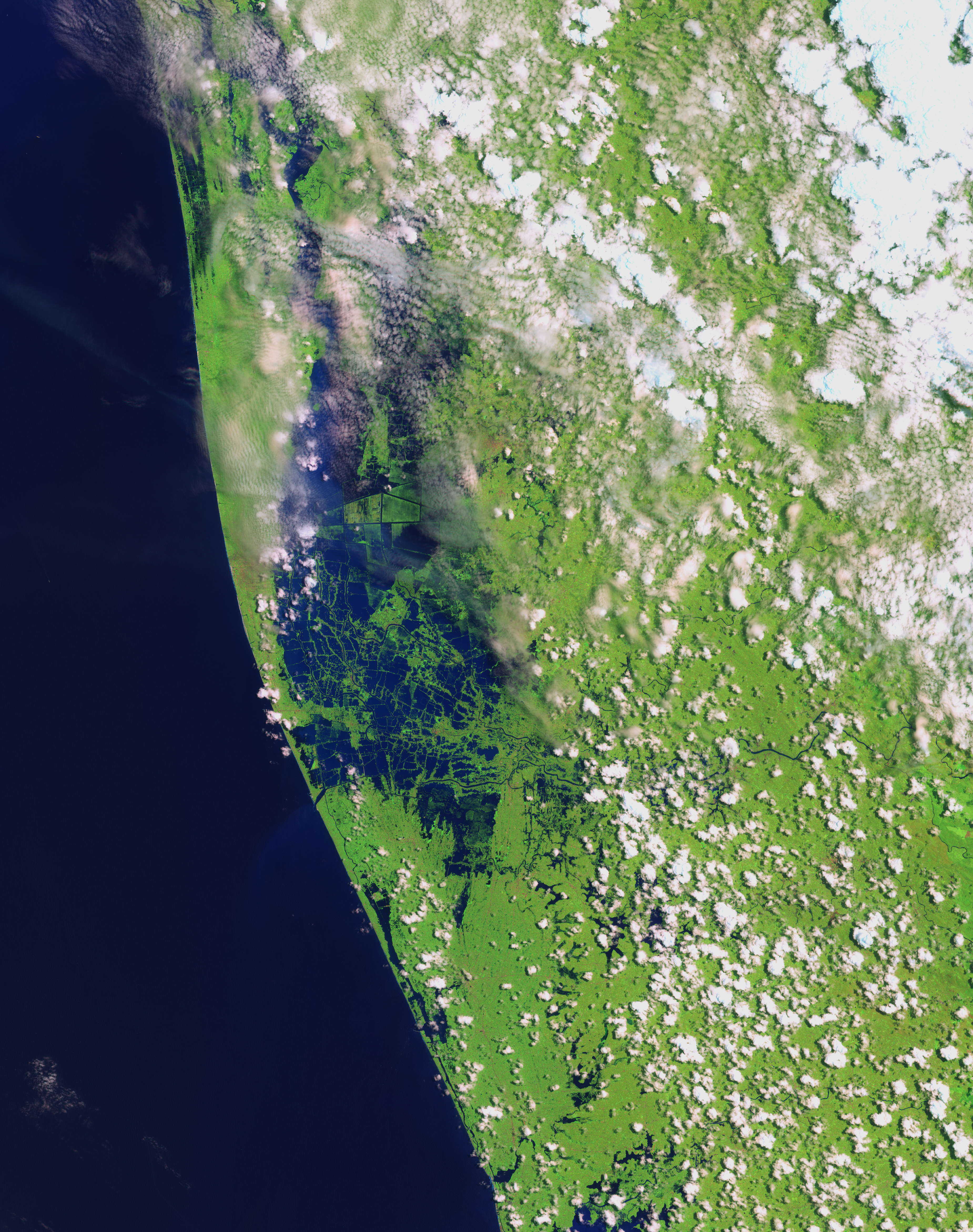 satellite image of Kerala India