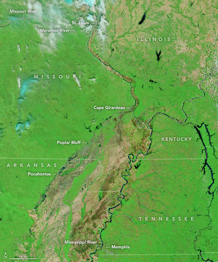 Satellite image of flooding along several tributaries of Mississippi River