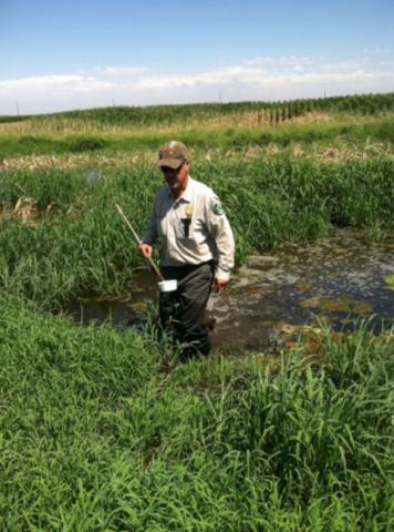 Man sampling mosquito breeding activity in a swamp