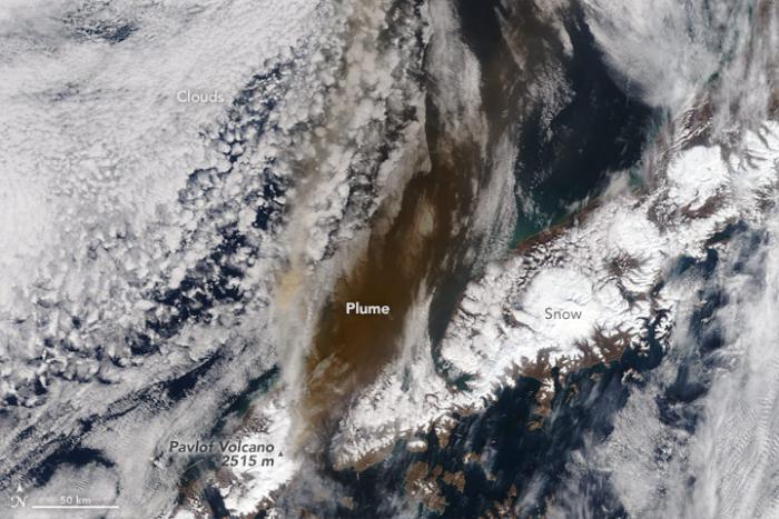 The Moderate Resolution Imaging Spectroradiometer (MODIS) instruments on NASA’s Terra and Aqua satellites acquired this image of the ash plume at 11:45 a.m. Alaska time (21:45 Universal Time) on March 28, 2016.