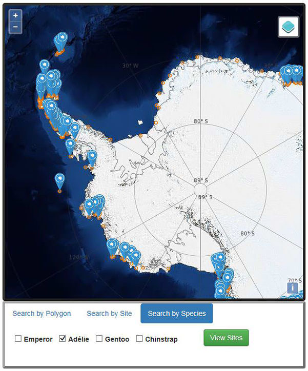 MAPPPD image of Adélie penguin colonies in West Antarctica.