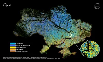 Ukraine in October 2022 showing crops such as sunflower (light blue), winter wheat (yellow), rapeseed (orange) and other summer corps (dark blue). Credits: NASA Harvest